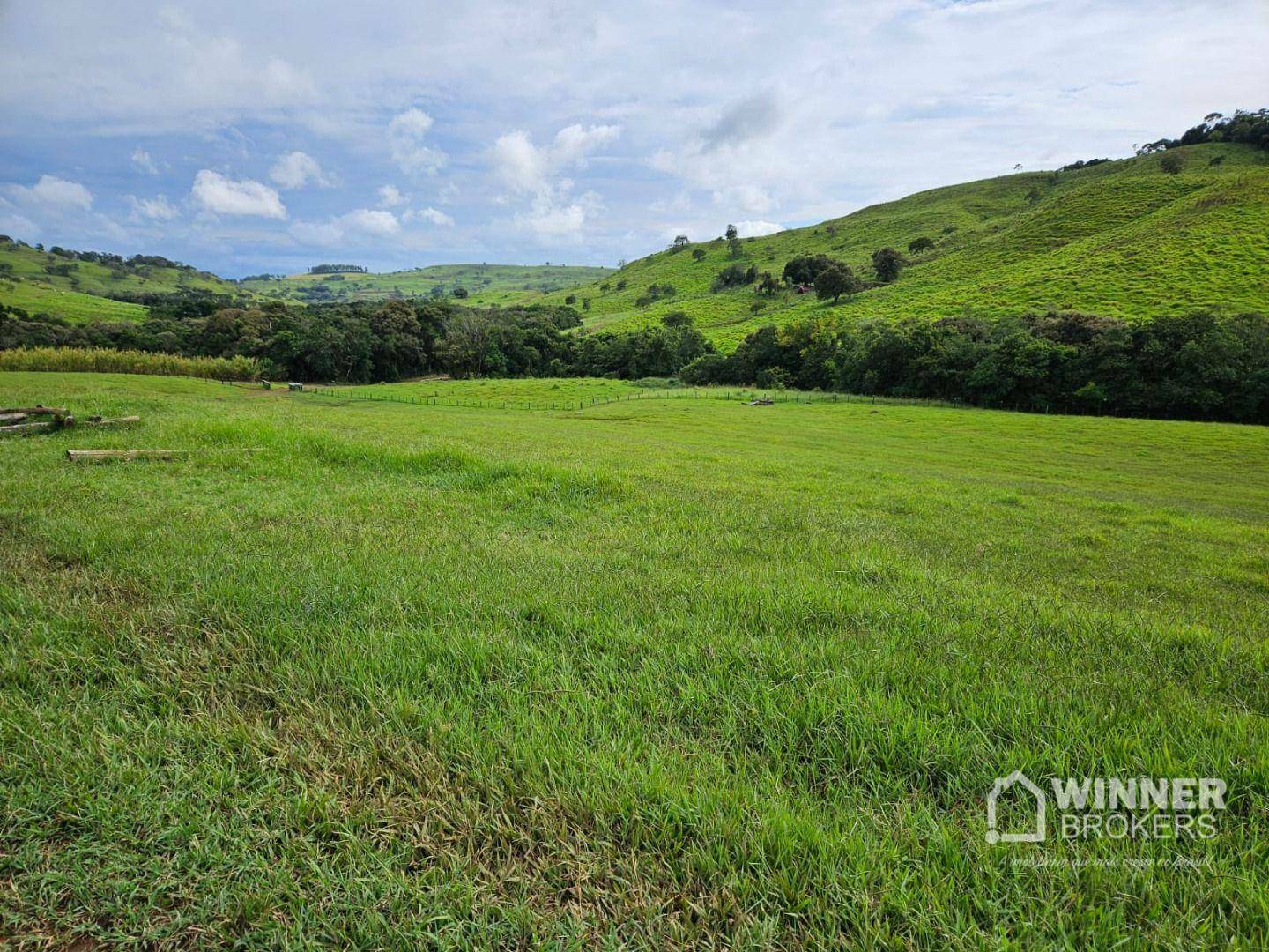 Fazenda-Sítio-Chácara, 862 hectares - Foto 1