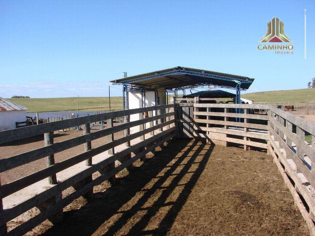 Fazenda à venda com 5 quartos, 33455000M2 - Foto 17