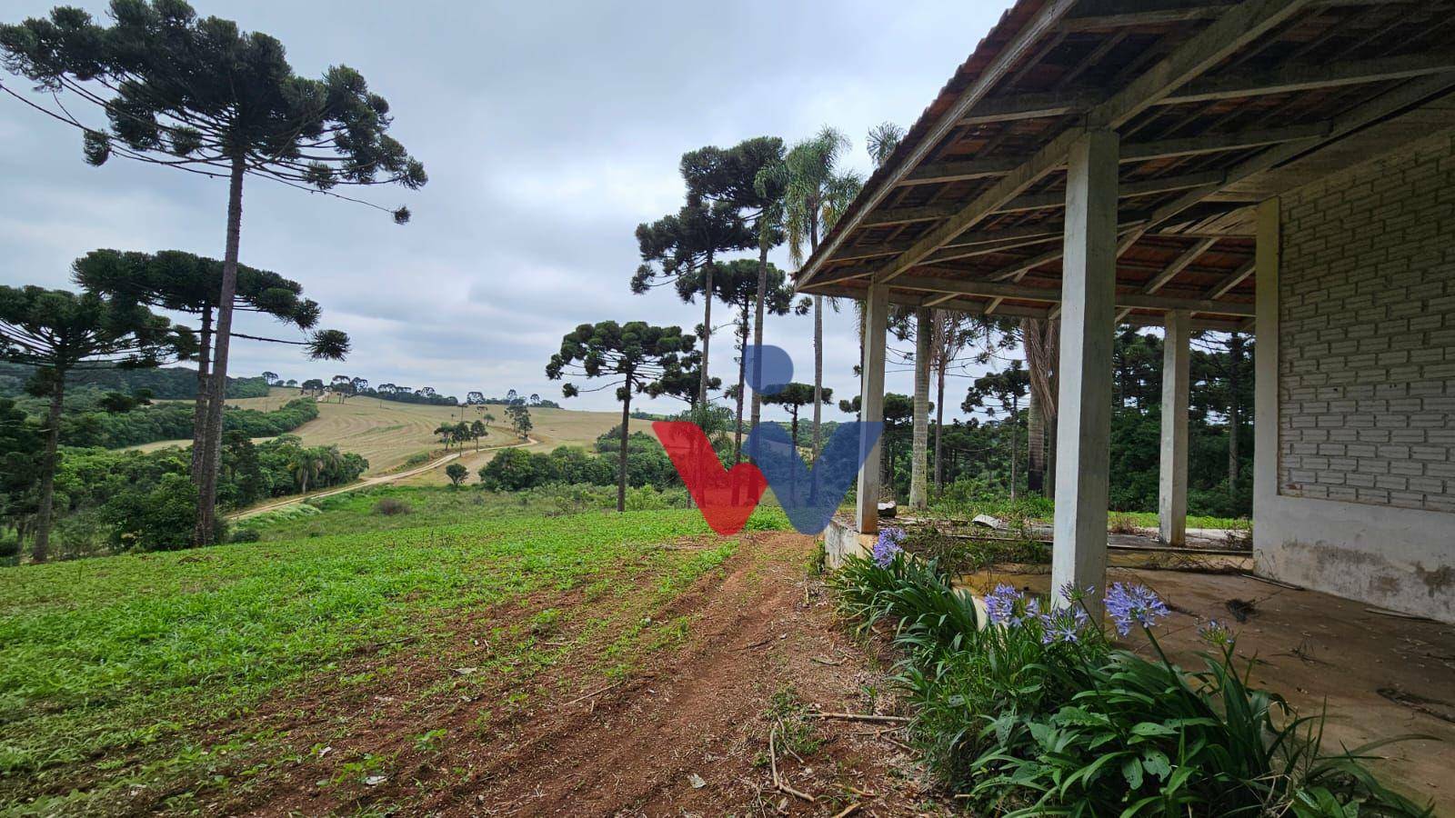 Fazenda à venda com 3 quartos, 1694000M2 - Foto 10