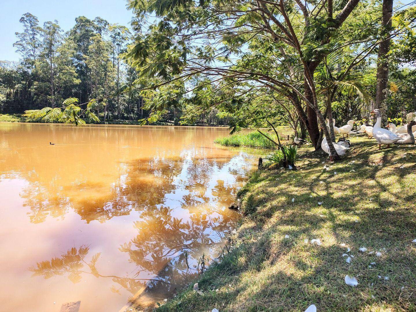 Loteamento e Condomínio à venda, 1290M2 - Foto 14