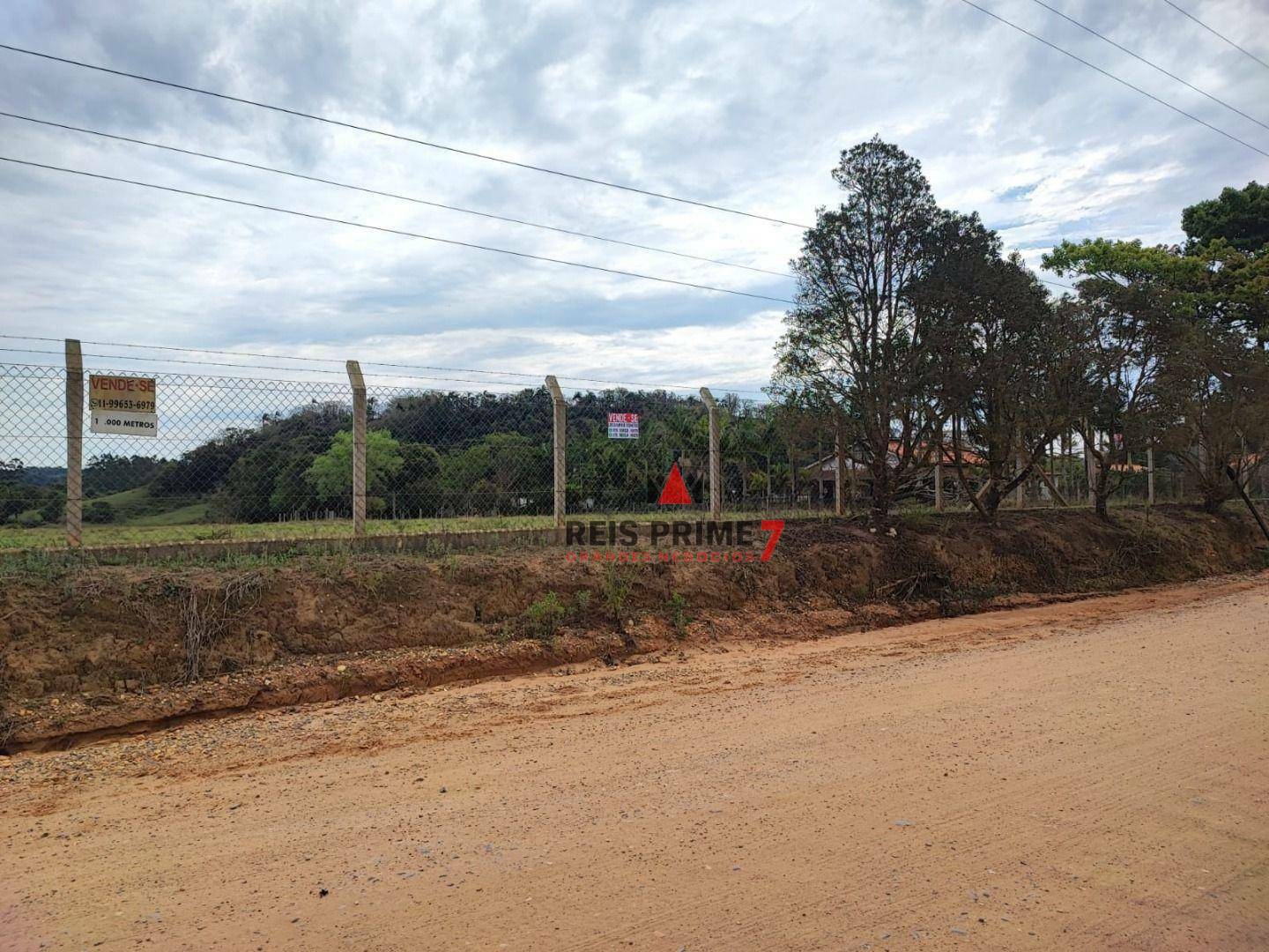 Terreno, 3 hectares - Foto 12