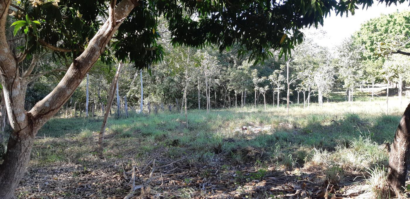 Chácara à venda com 3 quartos, 30000m² - Foto 39