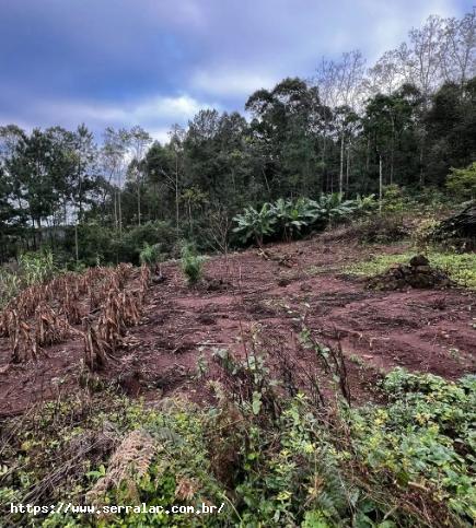 Fazenda à venda, 33000m² - Foto 3