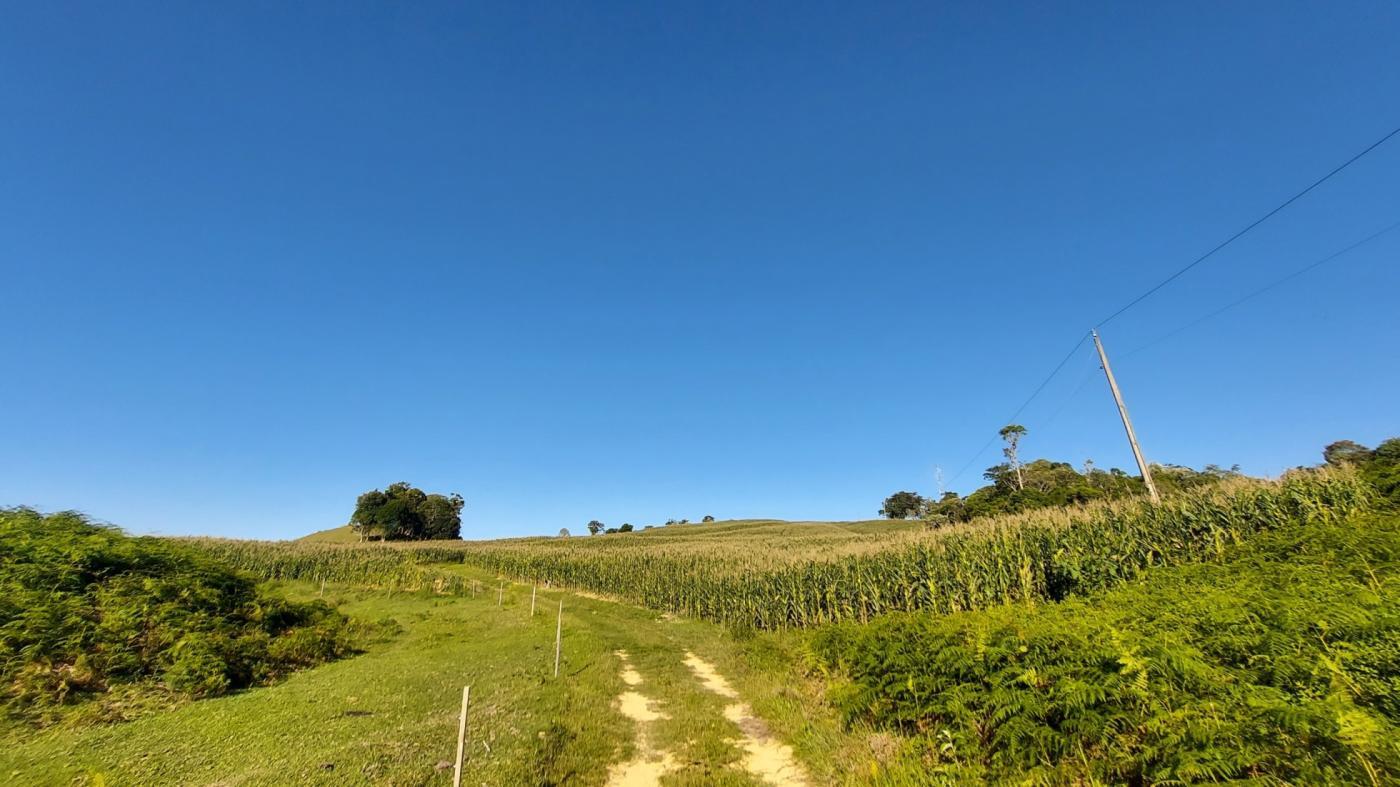 Fazenda à venda com 2 quartos, 925500m² - Foto 18