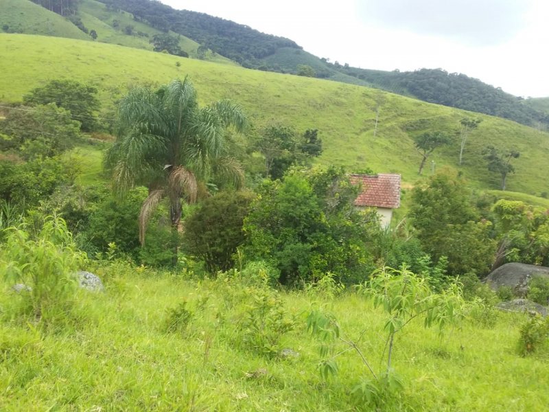 Terreno à venda, 24000m² - Foto 7