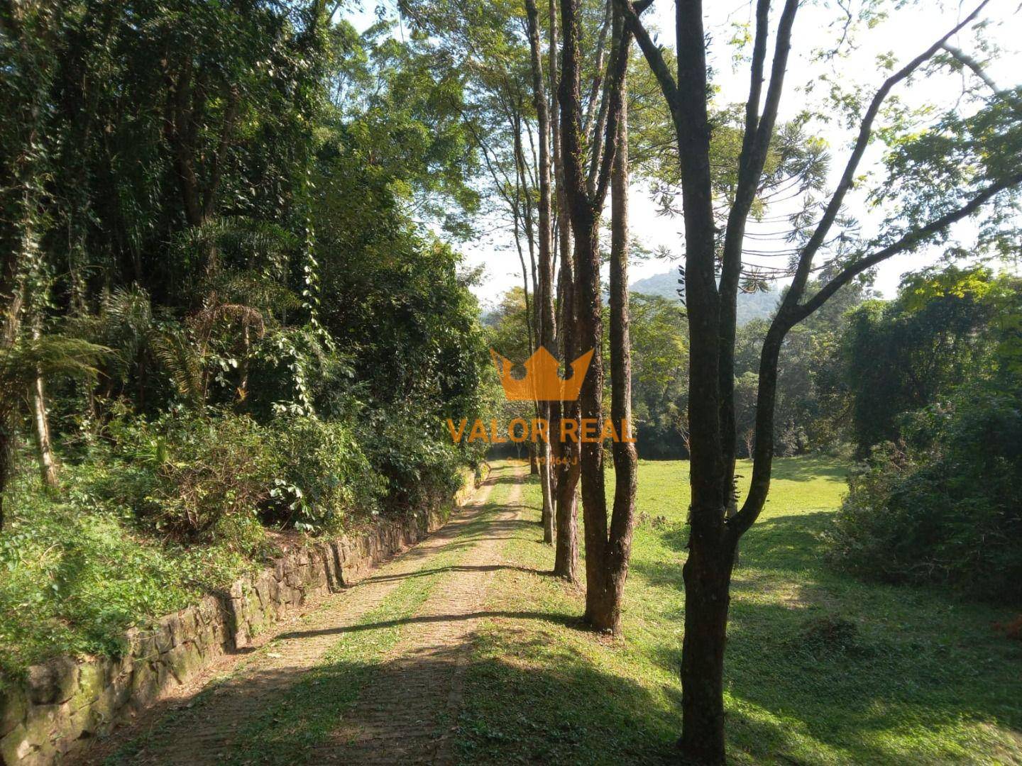 Sítio, 15 quartos, 10 hectares - Foto 16