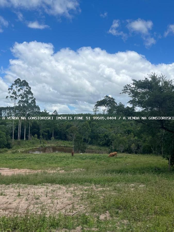 Sítio à venda, 30000m² - Foto 12