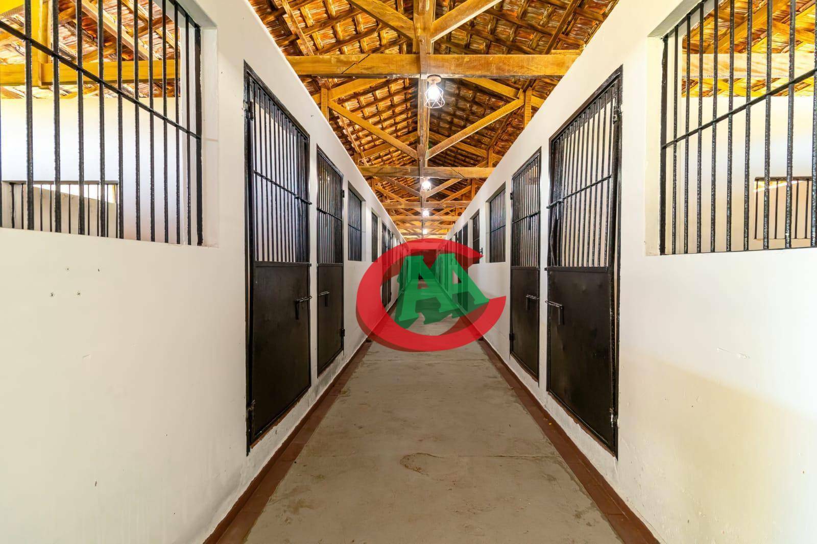 Haras e Área Rural Padrão à venda com 2 quartos, 1000m² - Foto 6