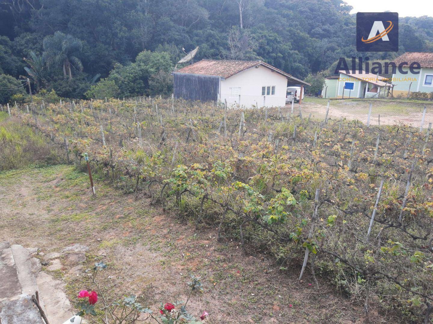 Terreno à venda, 1632M2 - Foto 20