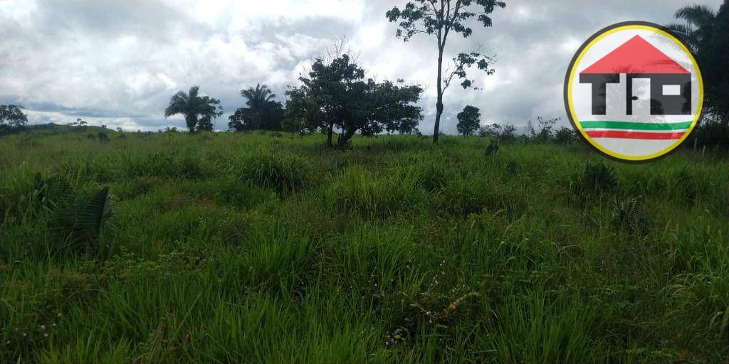 Fazenda-Sítio-Chácara, 145 hectares - Foto 3