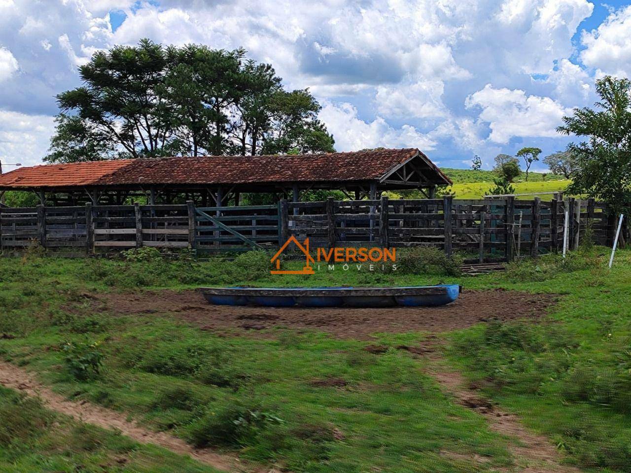 Fazenda à venda com 6 quartos, 1000m² - Foto 39