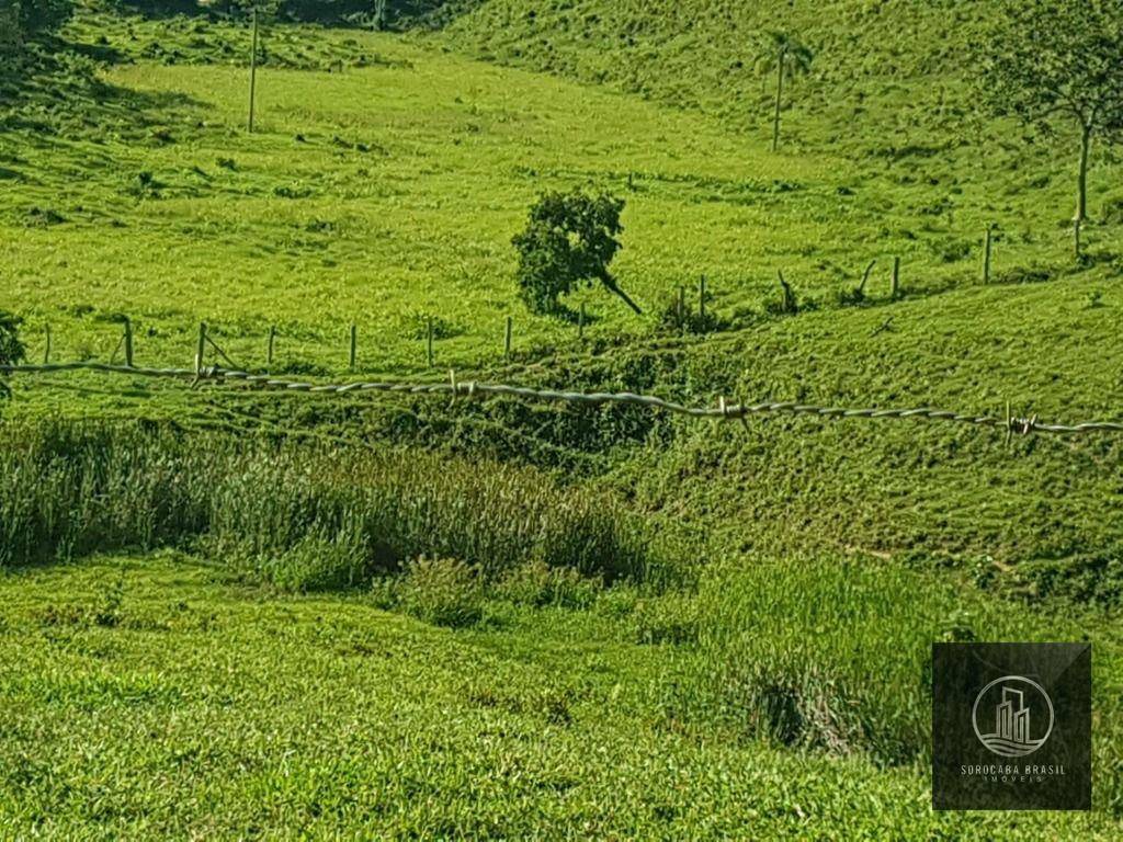 Fazenda à venda, 202000M2 - Foto 10