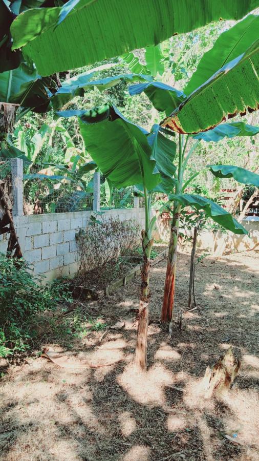 Fazenda à venda com 3 quartos, 1000m² - Foto 19