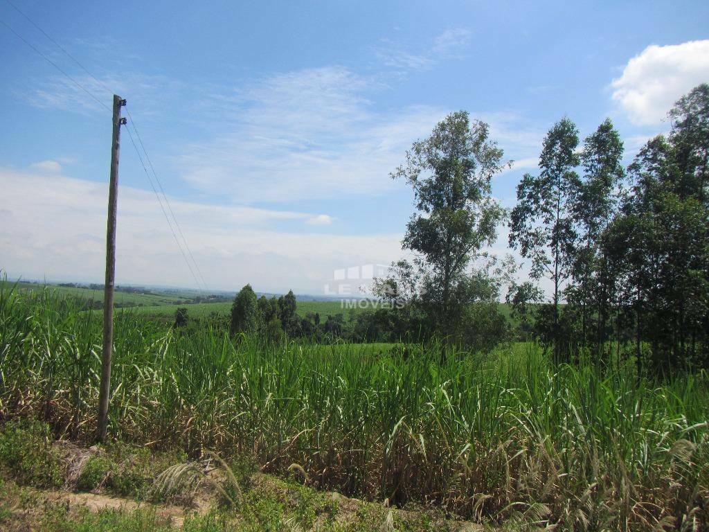 Terreno à venda, 193600M2 - Foto 8