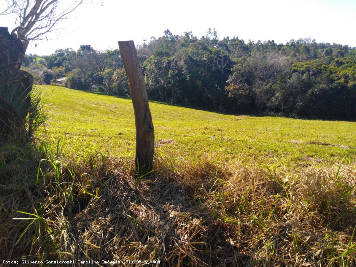 Fazenda à venda com 3 quartos, 24172m² - Foto 26