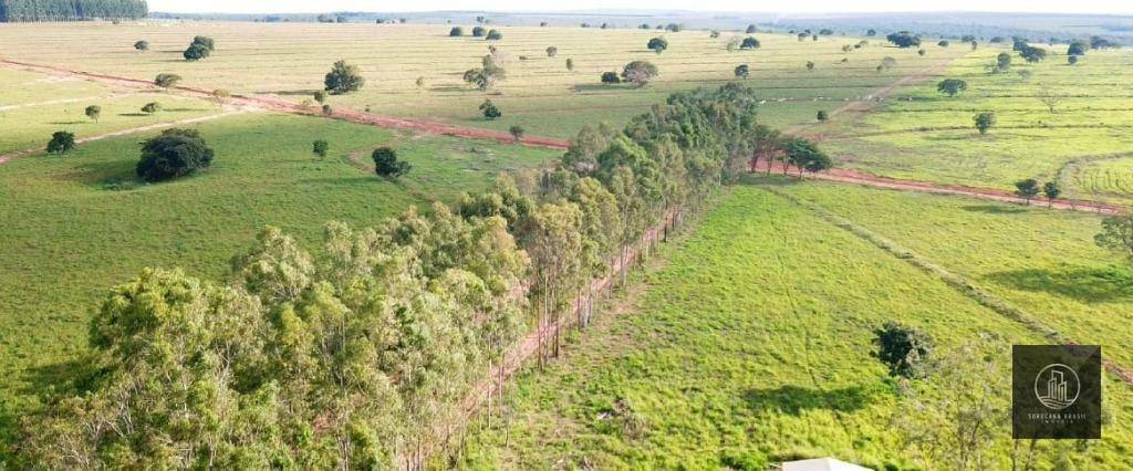 Fazenda à venda, 47720000M2 - Foto 17