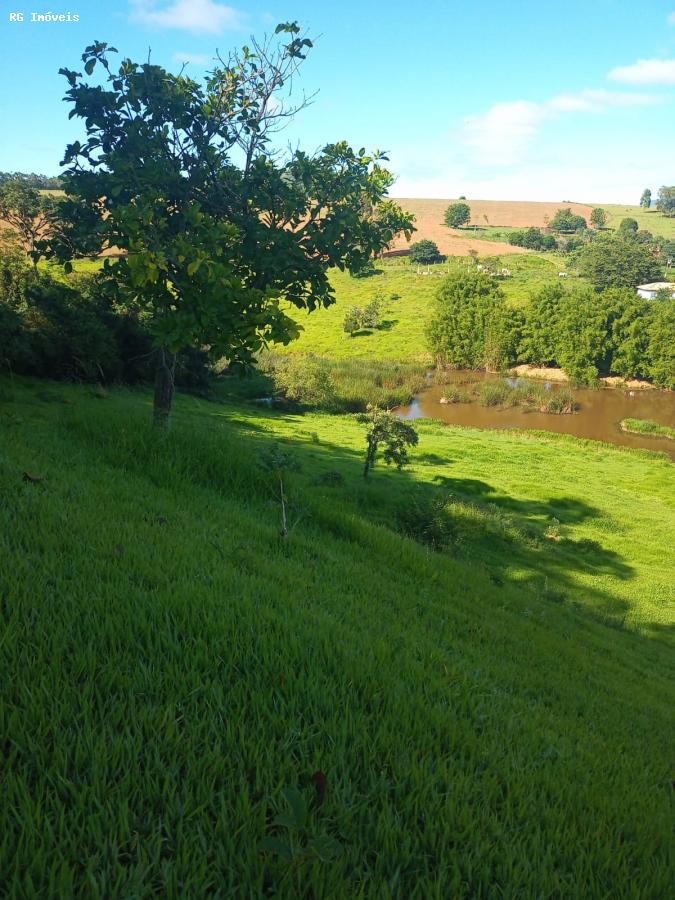 Fazenda à venda com 5 quartos, 320m² - Foto 12