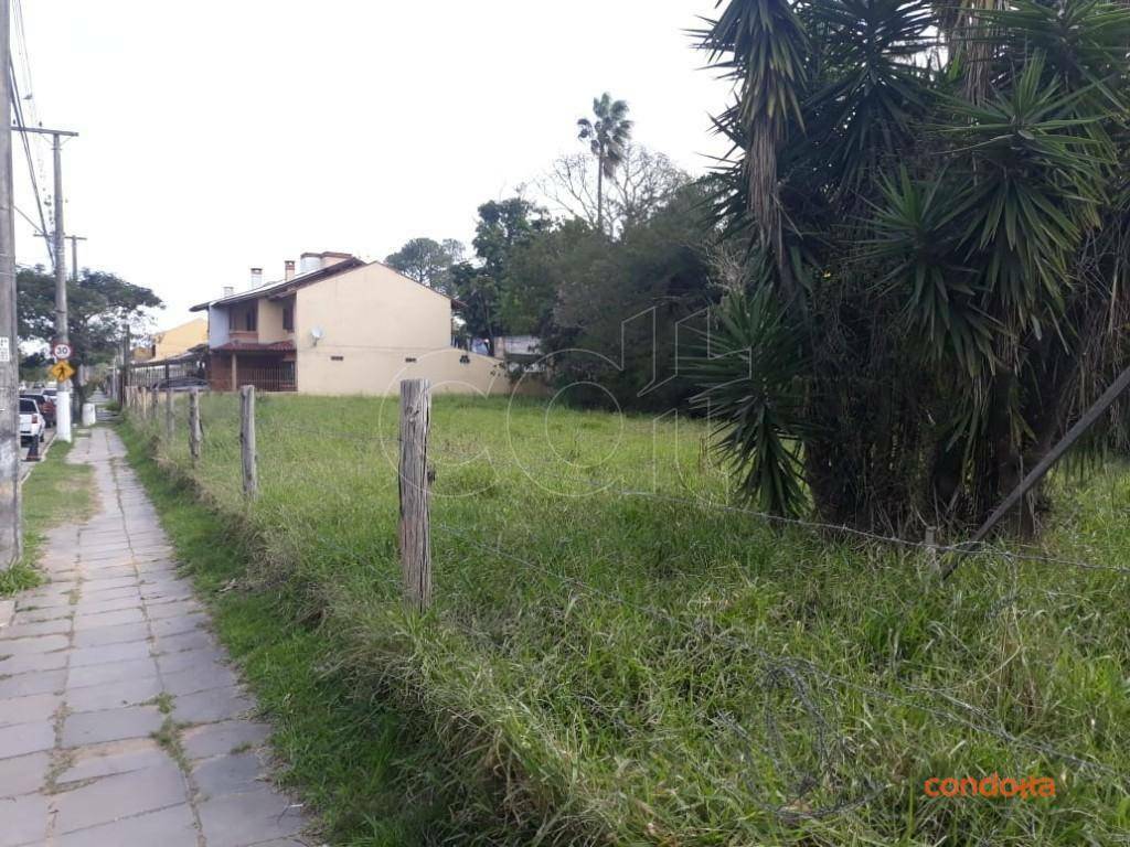 Terreno, 958 m² - Foto 4