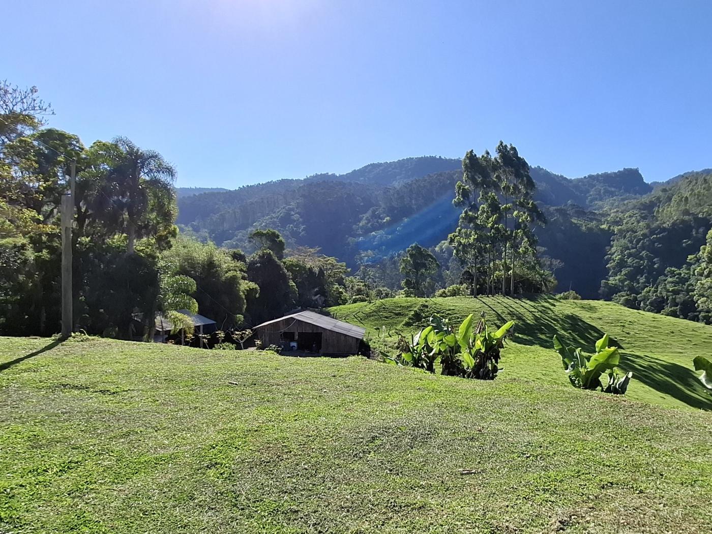 Fazenda à venda com 3 quartos, 90000m² - Foto 31