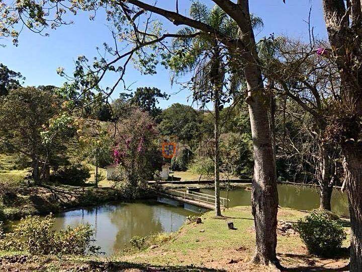 Sítio, 2 quartos, 2 hectares - Foto 2