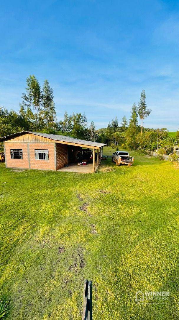 Chácara à venda com 3 quartos, 3250M2 - Foto 1