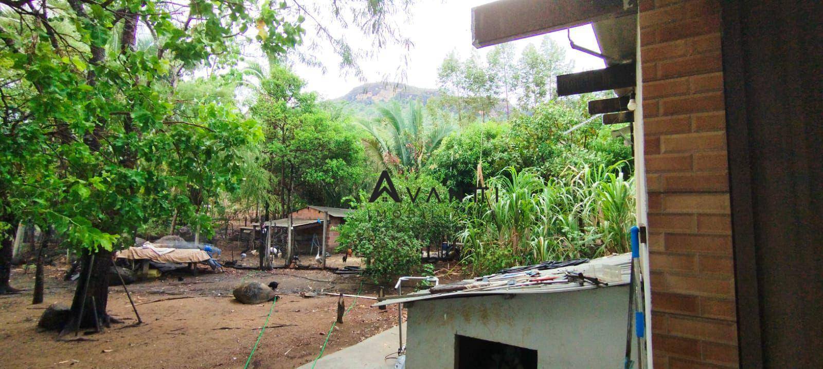 Chácara, 4 quartos, 5500 m² - Foto 3