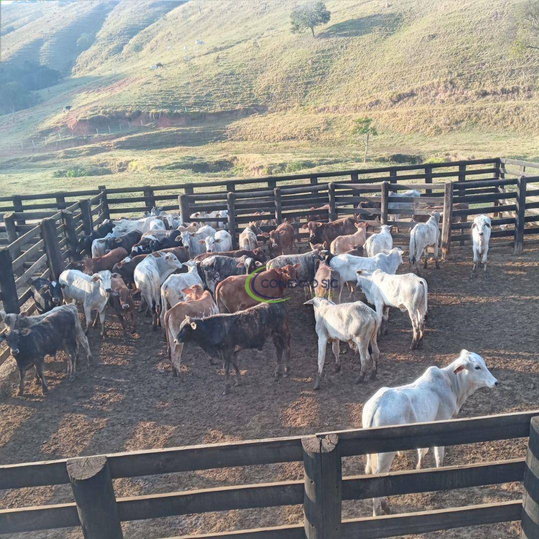Fazenda à venda, 3388000M2 - Foto 7