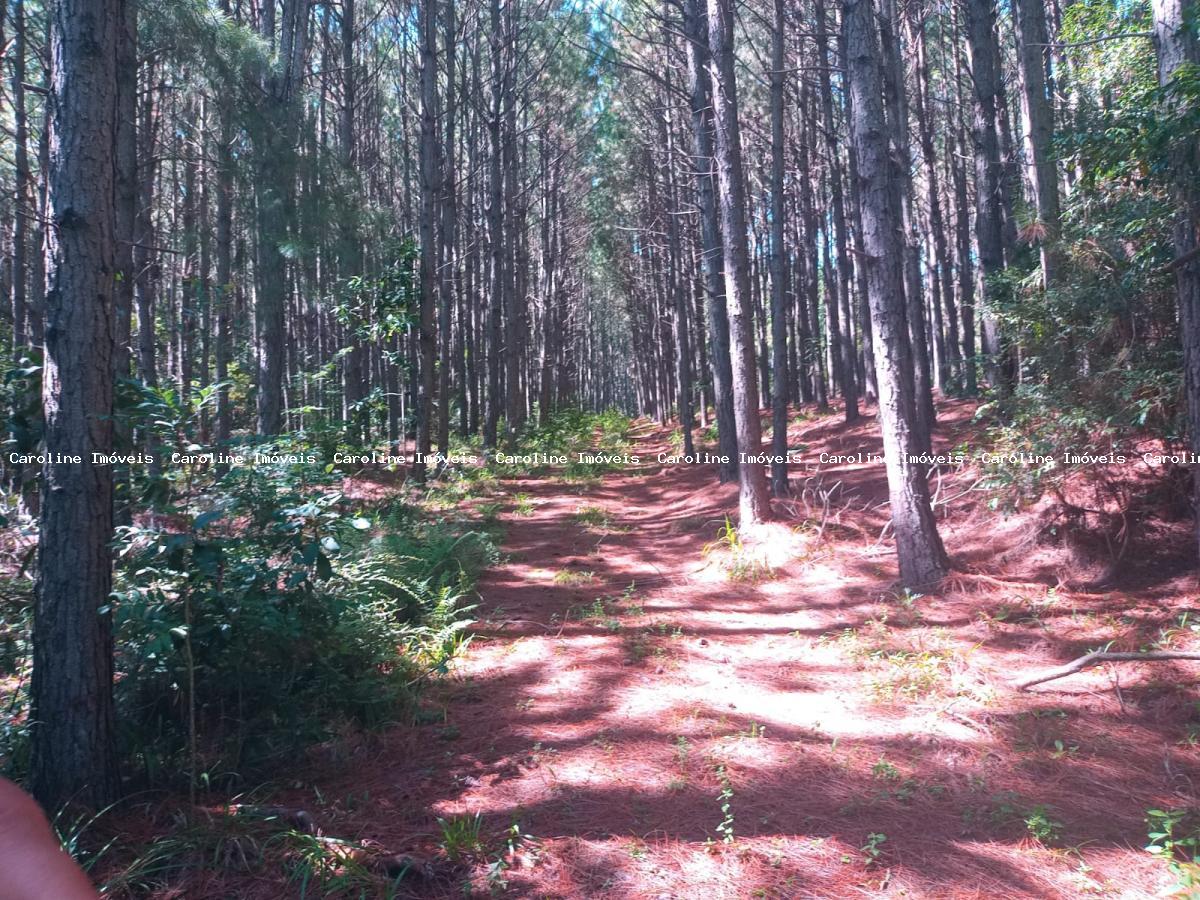 Fazenda à venda com 7 quartos, 800000m² - Foto 31