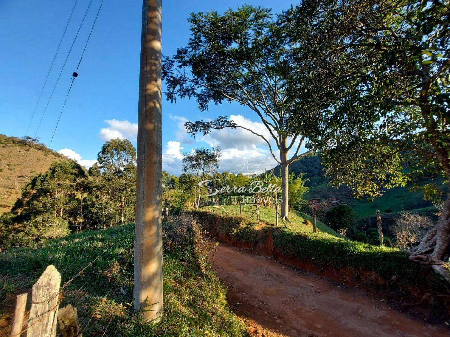 Fazenda à venda com 3 quartos, 580800M2 - Foto 22