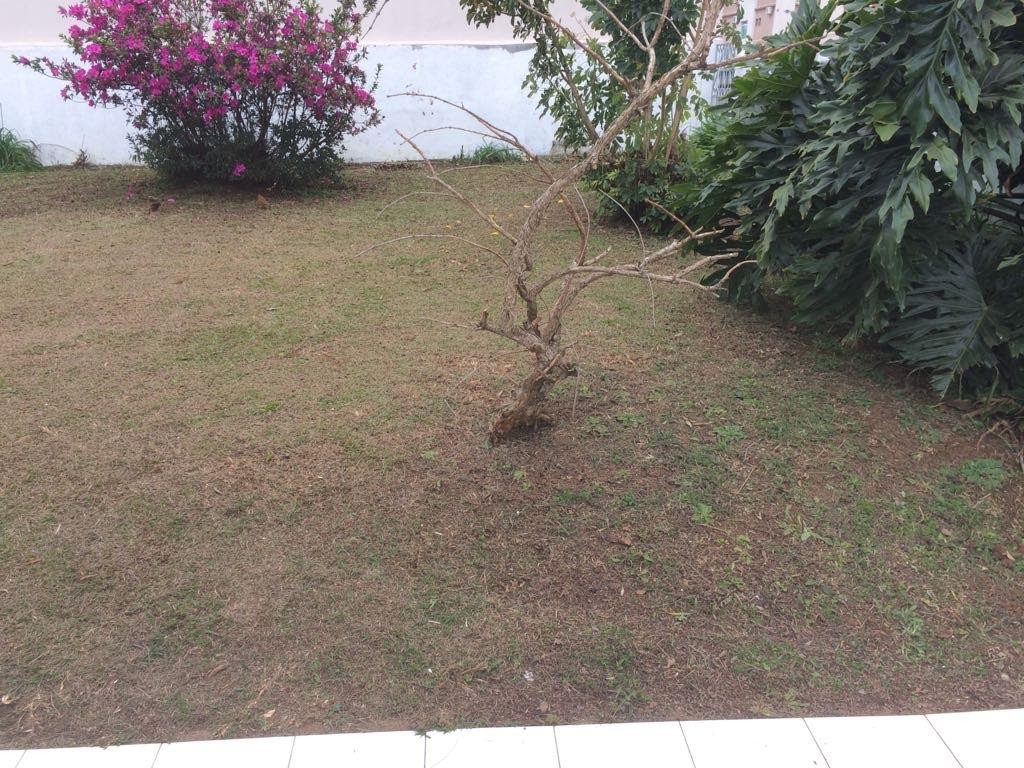 Terreno à venda, 800m² - Foto 11