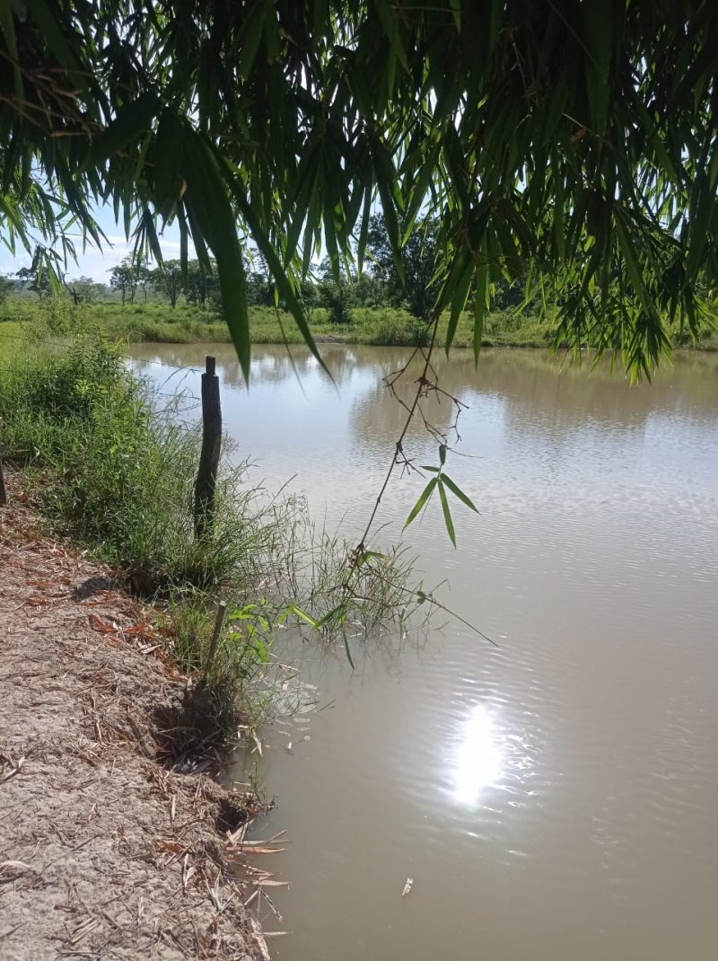 Fazenda à venda, 250m² - Foto 6