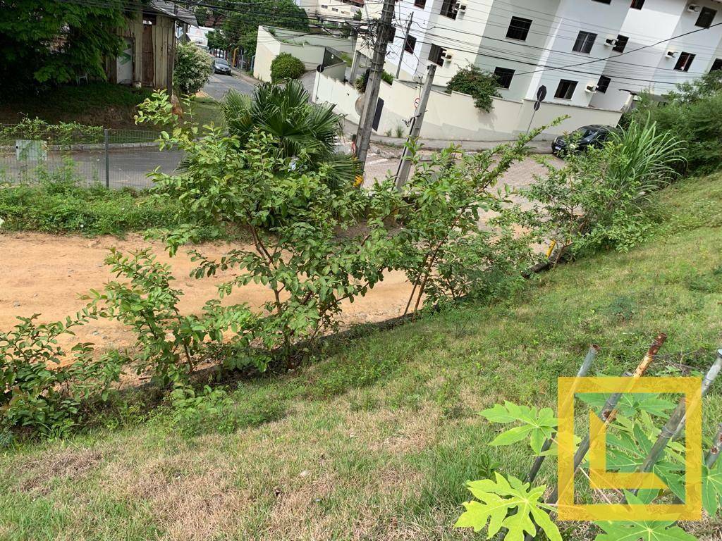 Terreno, 1674 m² - Foto 3