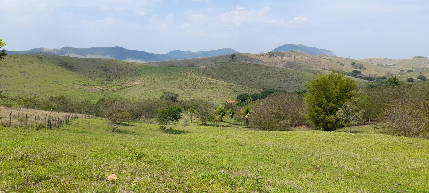 Fazenda à venda com 2 quartos, 20000m² - Foto 15