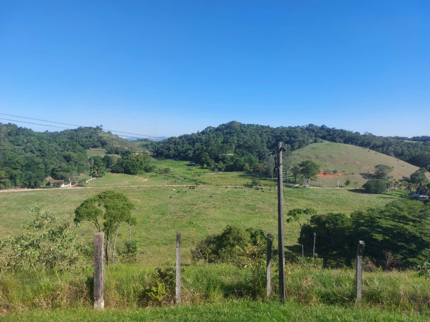 Fazenda à venda com 4 quartos, 34m² - Foto 18