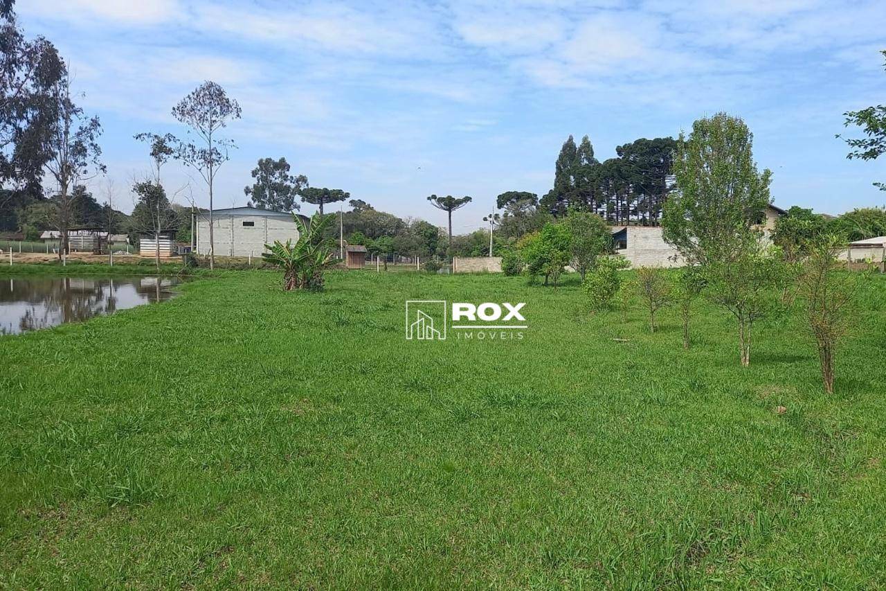 Chácara, 4 quartos, 2 hectares - Foto 14