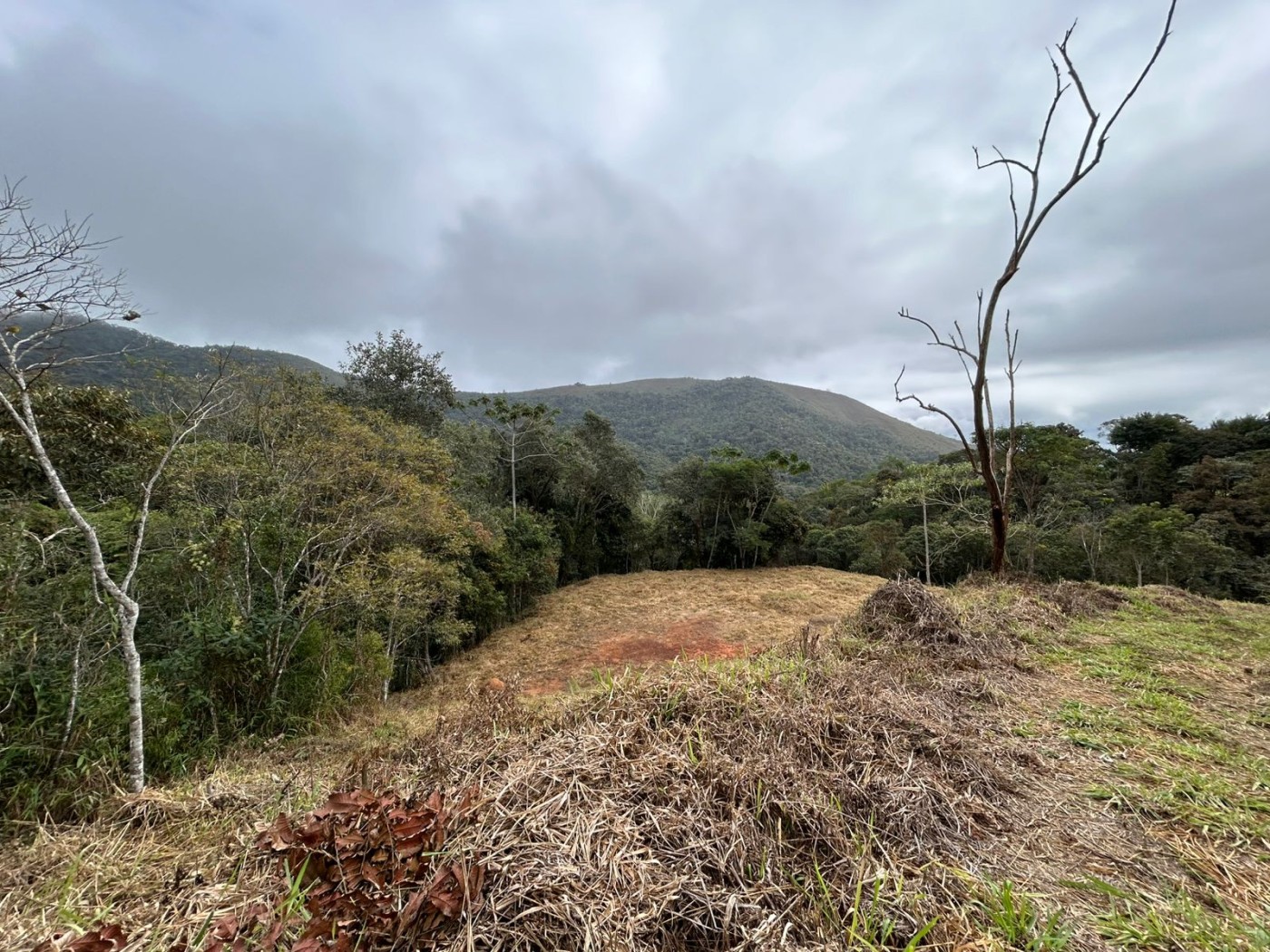 Terreno à venda, 178000m² - Foto 22