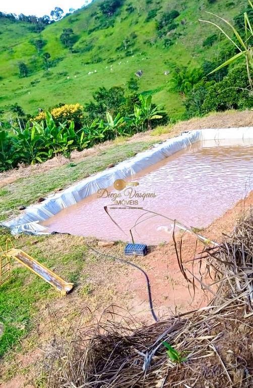 Sítio, 2 quartos, 7000 m² - Foto 14