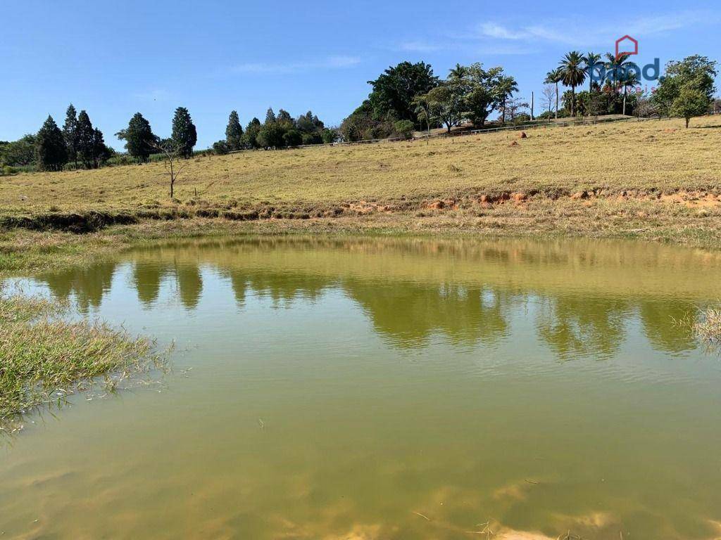 Haras e Área Rural Padrão à venda com 8 quartos, 1000m² - Foto 23