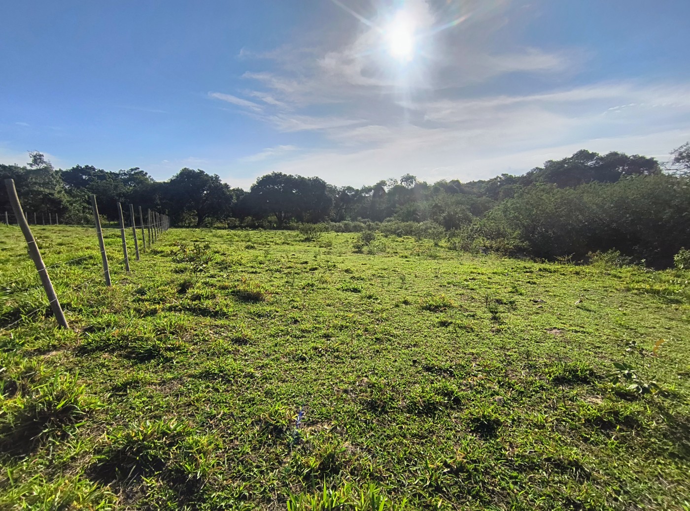 Terreno à venda, 2350m² - Foto 5