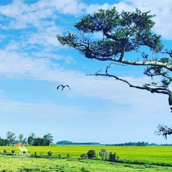 Fazenda à venda, 3160000M2 - Foto 4