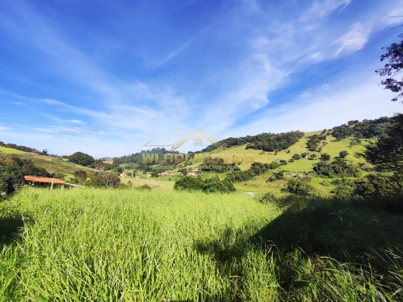 Fazenda à venda, 9000m² - Foto 22