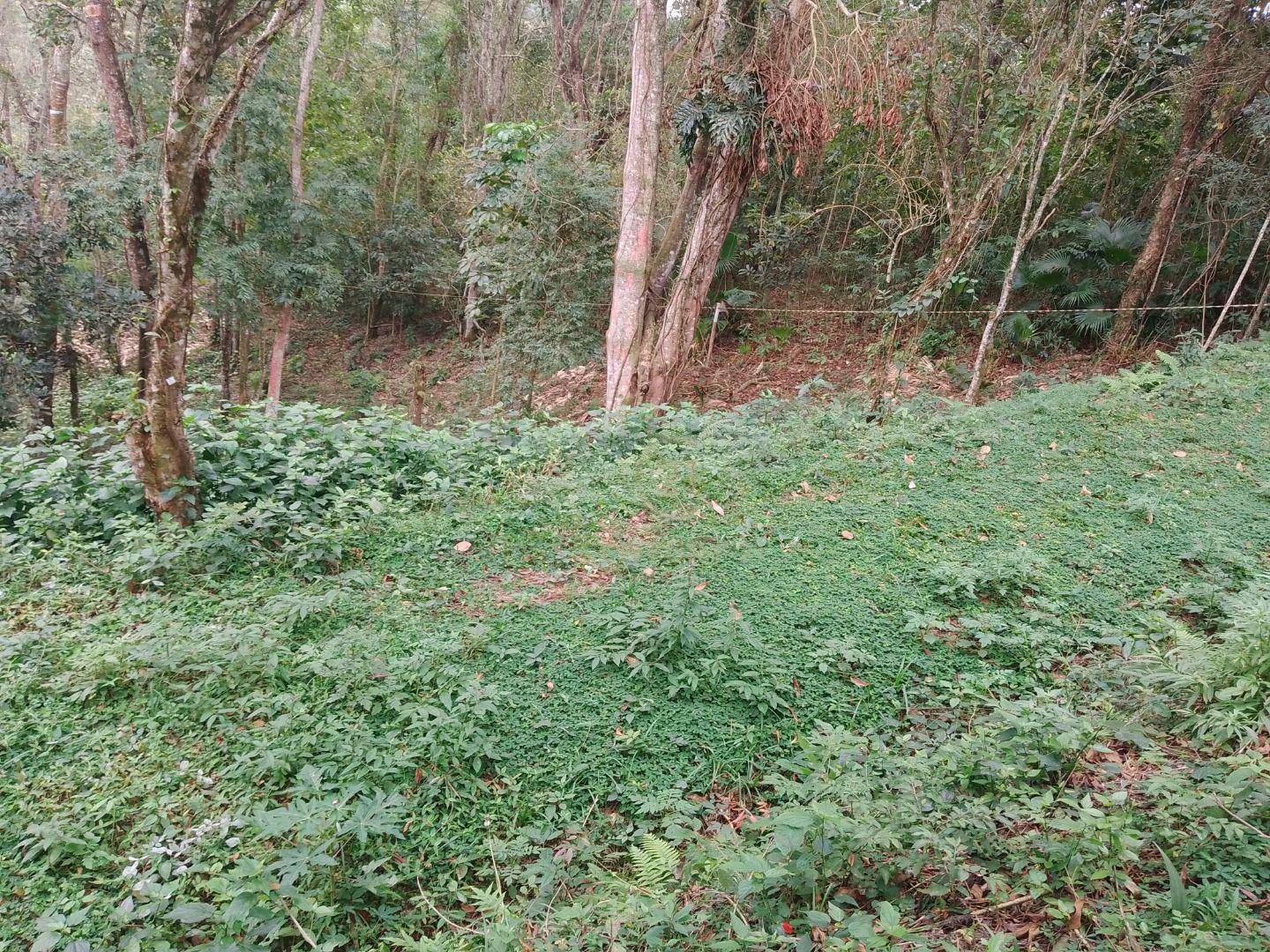 Loteamento e Condomínio à venda, 1030M2 - Foto 3