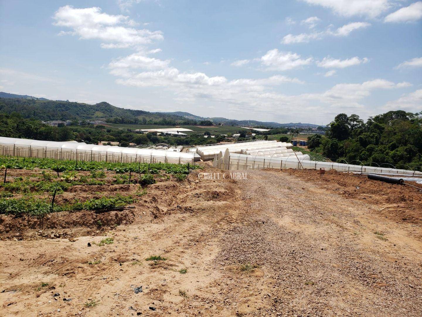 Terreno à venda, 84000M2 - Foto 11