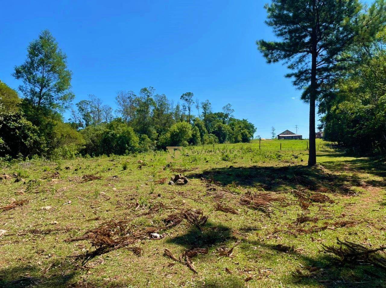 Sítio, 6 quartos, 45 hectares - Foto 13