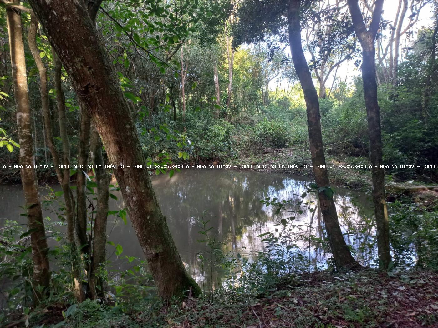 Fazenda à venda com 5 quartos, 20000m² - Foto 25