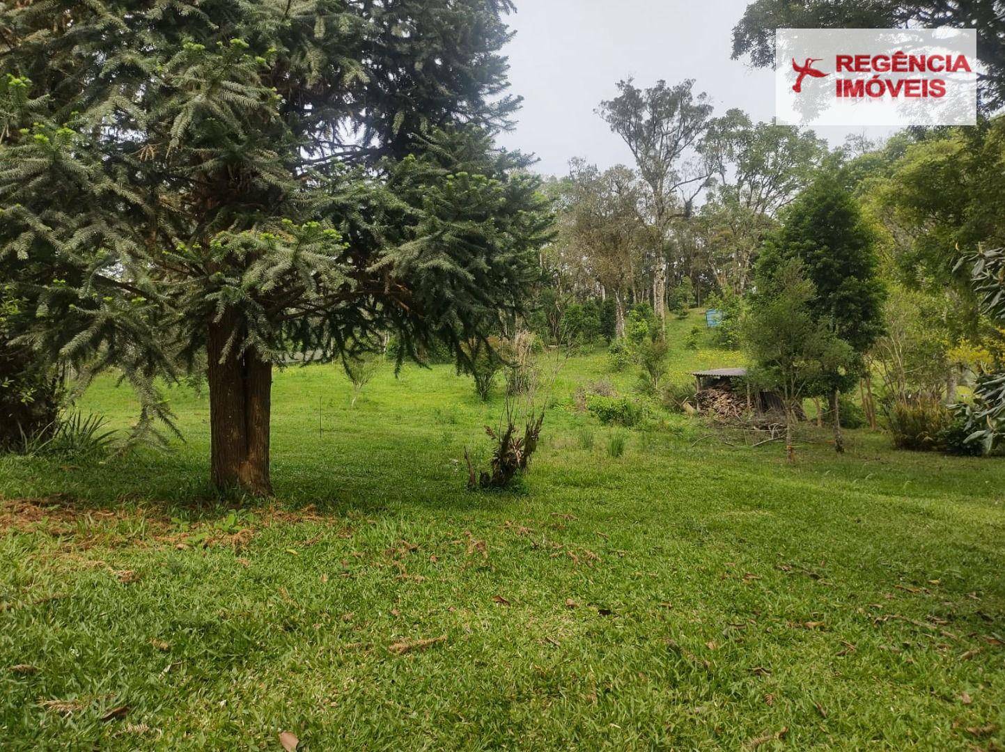 Terreno, 9700 m² - Foto 2