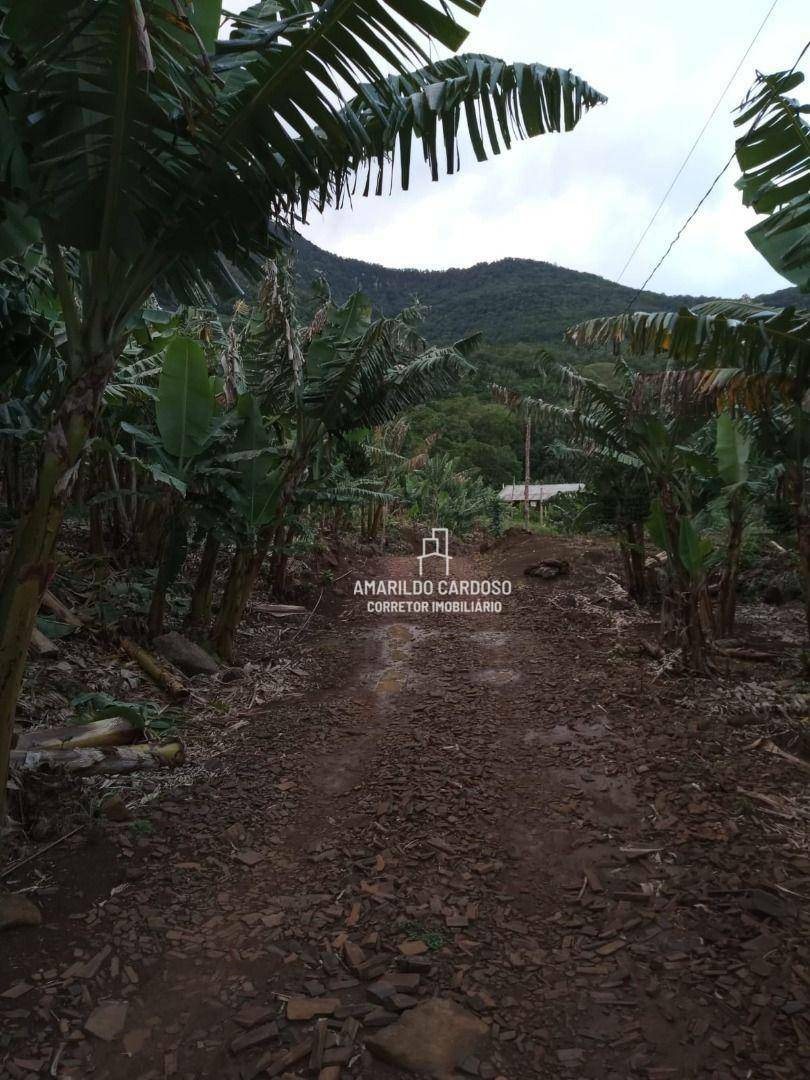 Chácara à venda com 3 quartos, 25000M2 - Foto 22