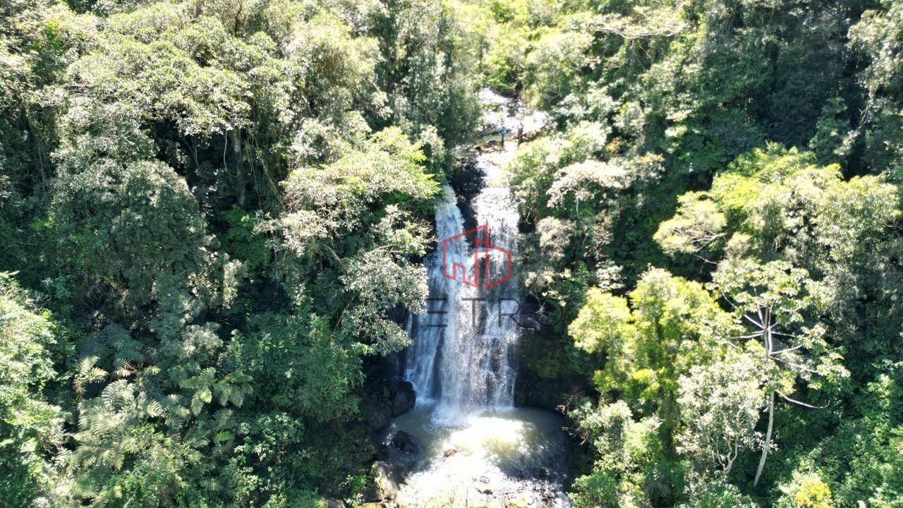 Sítio, 4 quartos, 37 hectares - Foto 2