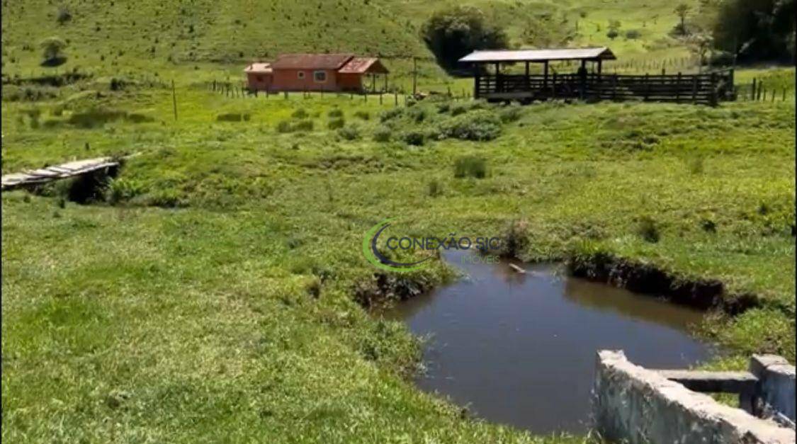 Fazenda à venda com 3 quartos, 1080000M2 - Foto 19