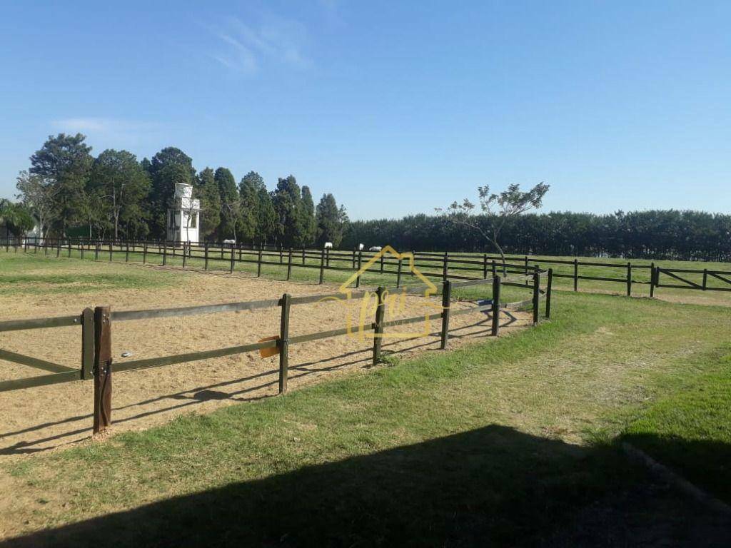 Haras e Área Rural Padrão à venda com 4 quartos, 1000m² - Foto 23